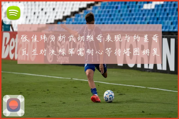 张佳玮分析武切维奇表现与约基奇瓦兰对决绿军需耐心等待塔图姆复出