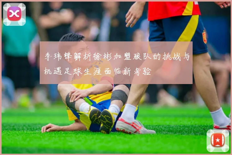 李玮锋解析徐彬加盟狼队的挑战与机遇足球生涯面临新考验