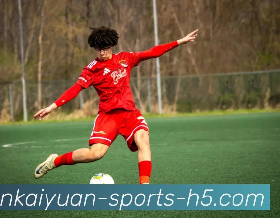 开元体育平台生态图